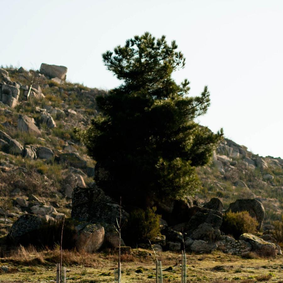 Quinta Do Chaozinho Villa Alijó Exteriör bild