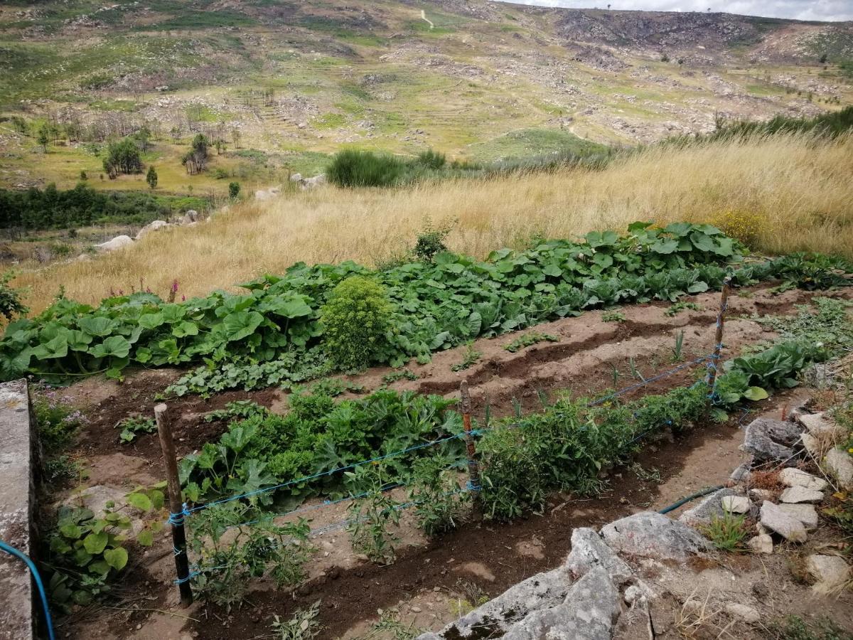 Quinta Do Chaozinho Villa Alijó Exteriör bild